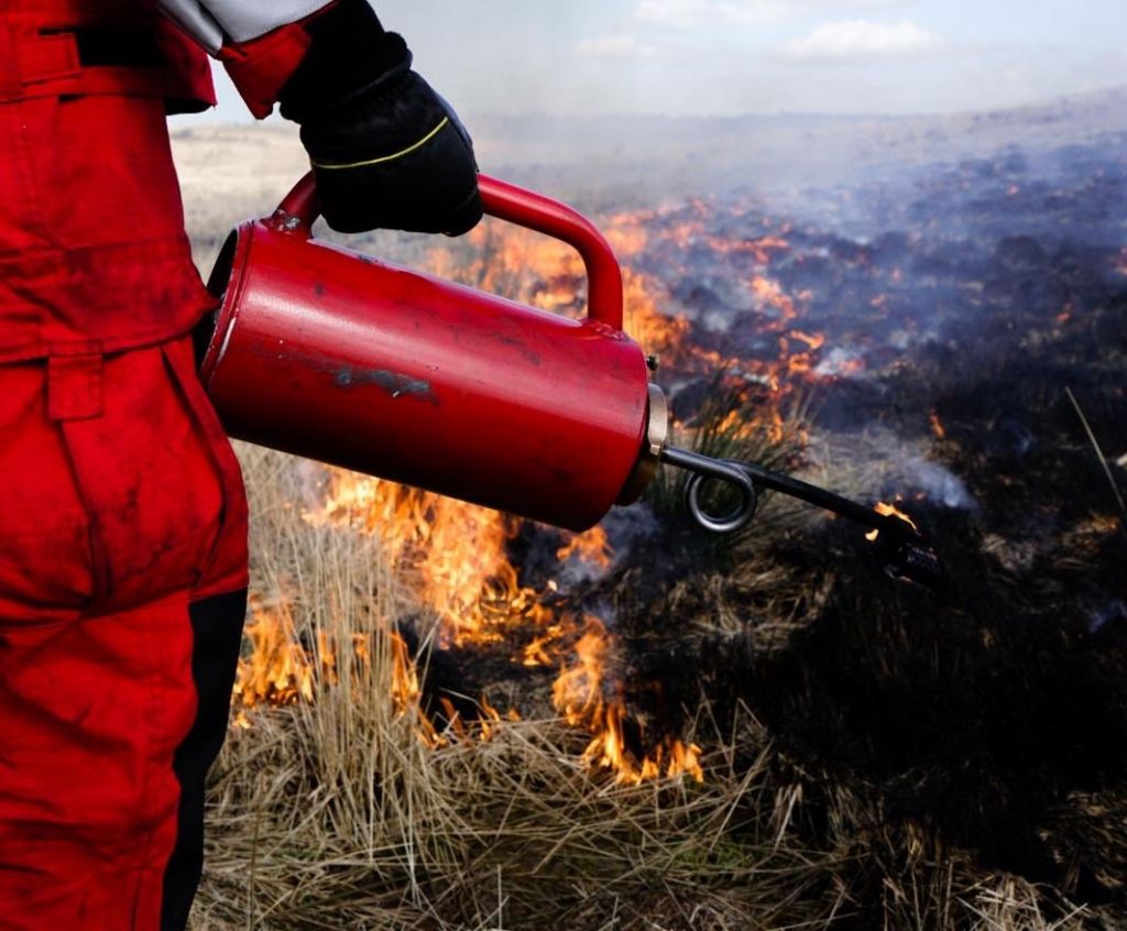 La gestión forestal como herramienta para prevenir los grandes