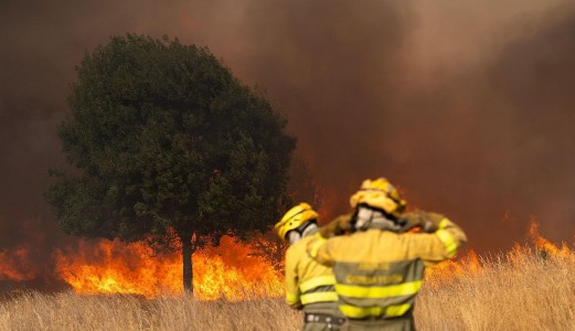 The August 2025 Wildfire Wave: An Unprecedented Challenge for Firefighters and Forest Engineers